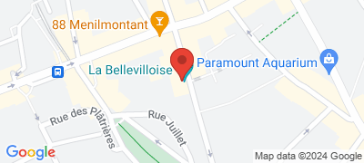 La Bellevilloise, 19 rue Boyer, 75020 PARIS